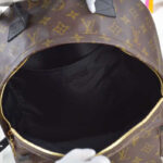 Louis vuitton Palm Springs Backpack PM M41561 Black